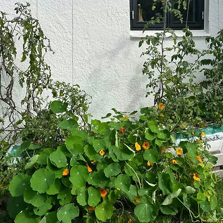 Sommerhus Med Udsigt Over Dalbybugten Mesinge