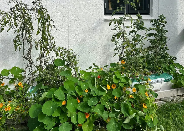Casa de Férias Sommerhus Med Udsigt Over Dalbybugten Mesinge